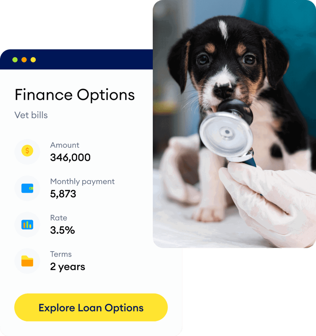 Can I apply for a Vet Bill Loan?