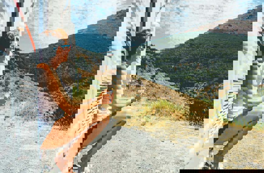 Essential Guide to Buying a Used Caravan